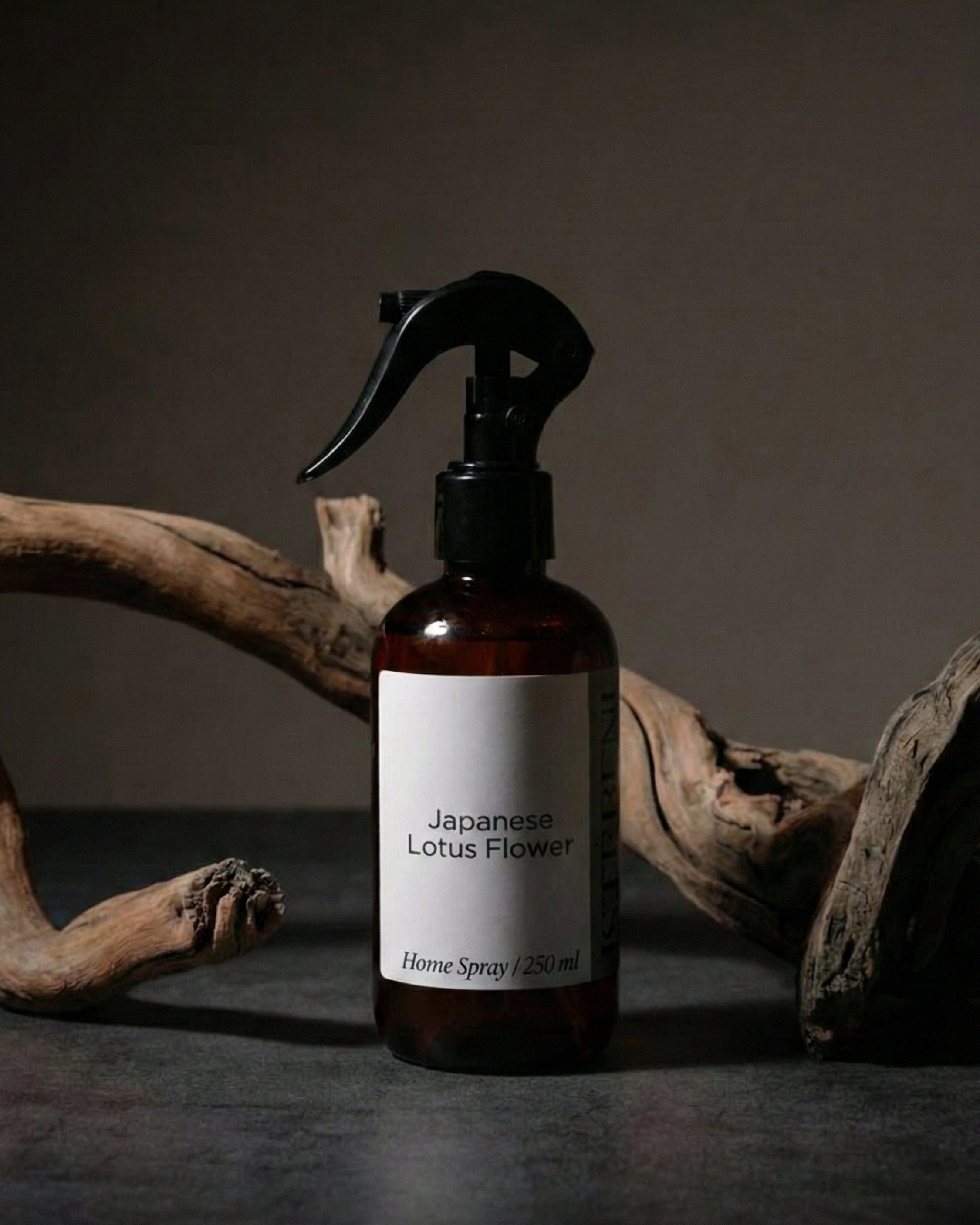 Japanese Lotus Flower